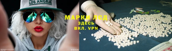 мдпв Волоколамск