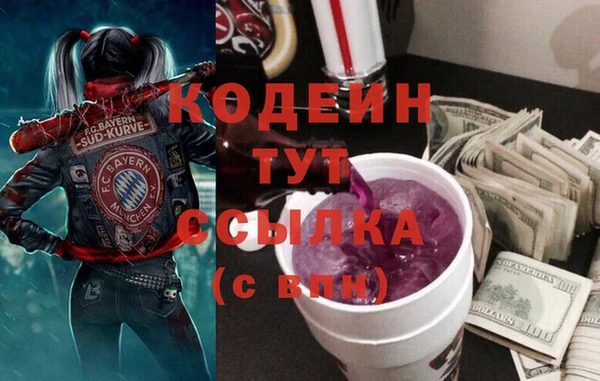 гидра Вязьма
