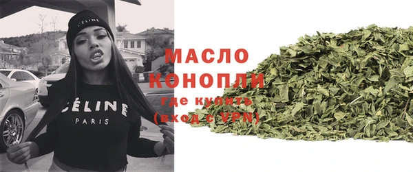 гидра Вязьма